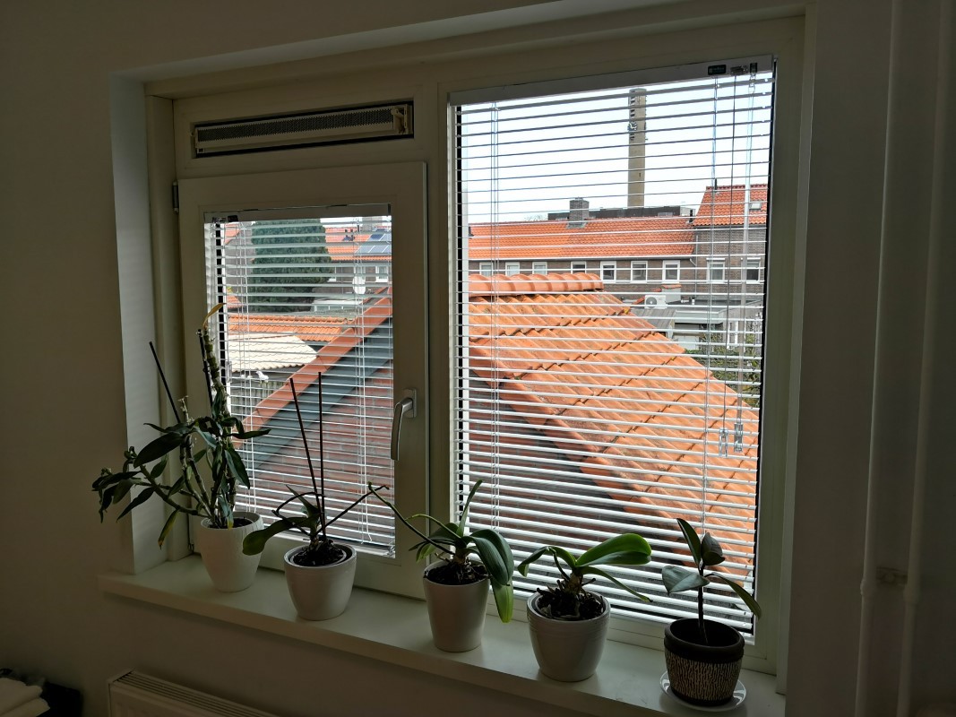 557157d2eecdeafb3eeaf32032444a25