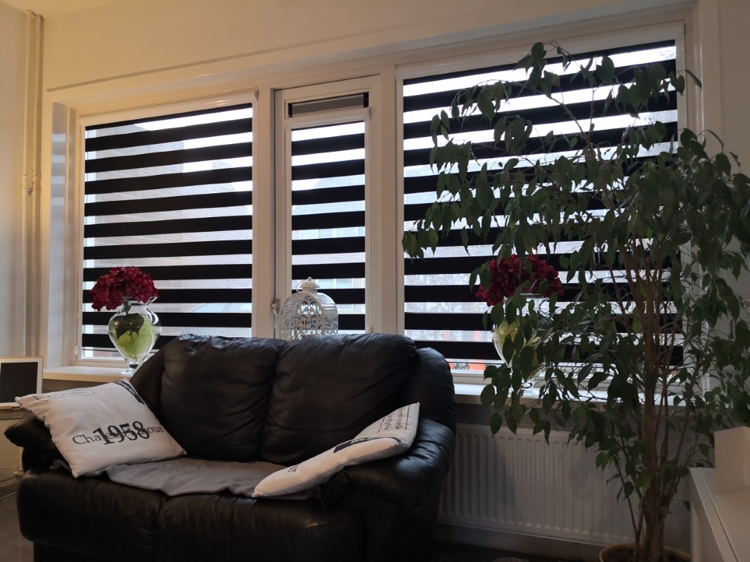 c3517d541db8c7ce48500cf0135878b9