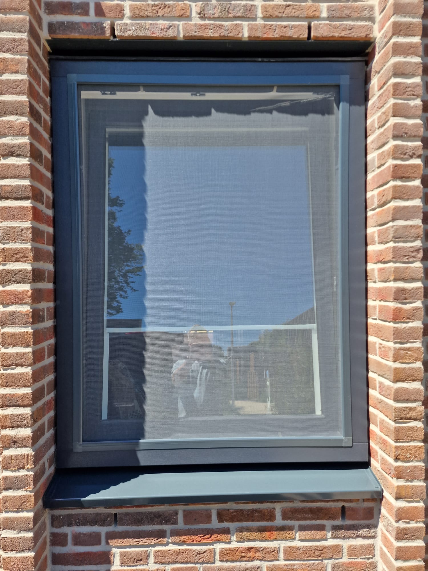 WhatsApp Image 2022-07-11 at 11.51.48