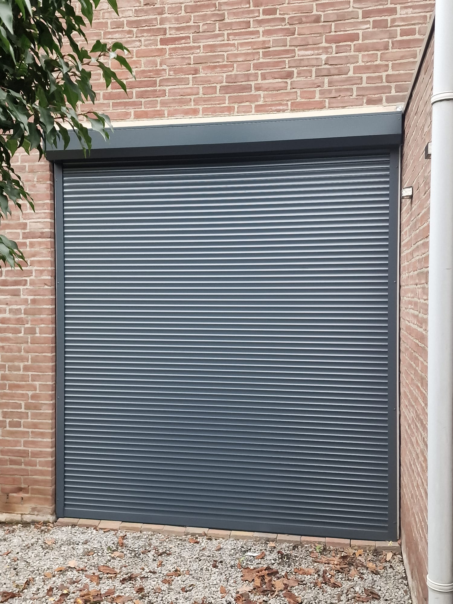 Zdjęcie WhatsApp 2023-12-20 o 06.42.21_323482af